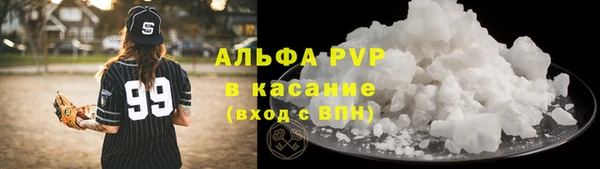 крисы Алзамай