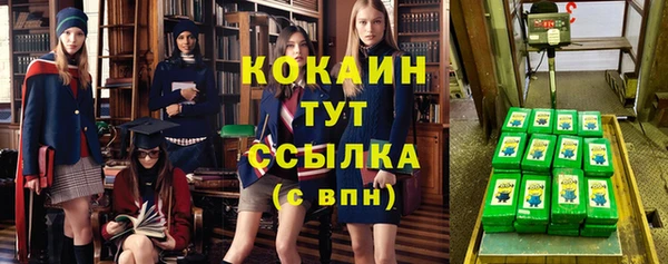прущий лед Абаза