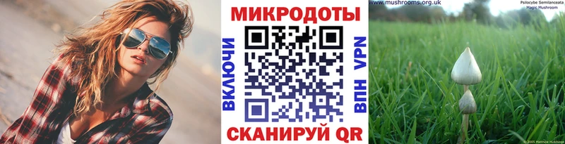 магазин    блэк спрут как войти  Галлюциногенные грибы ЛСД  Задонск 